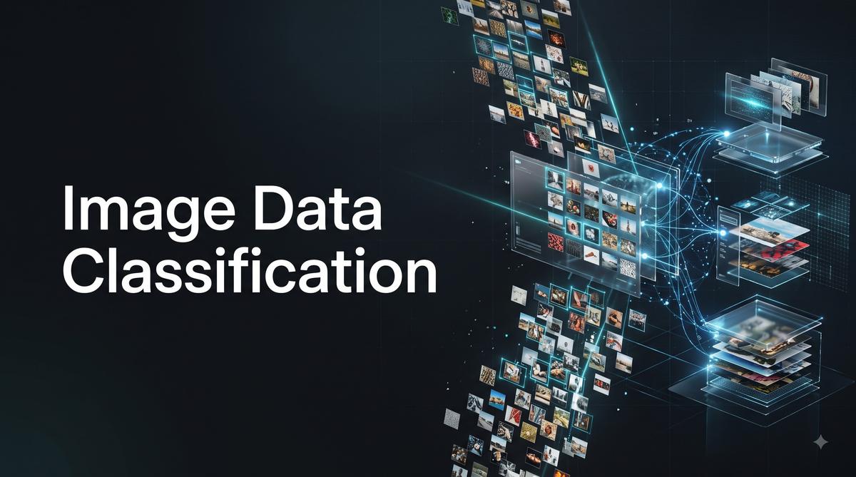 Image Data Classification